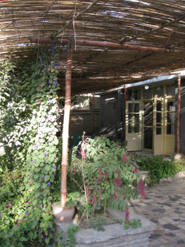 Bamboo Shade in Afghanistan