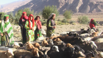 Wakhan Corridor Herding